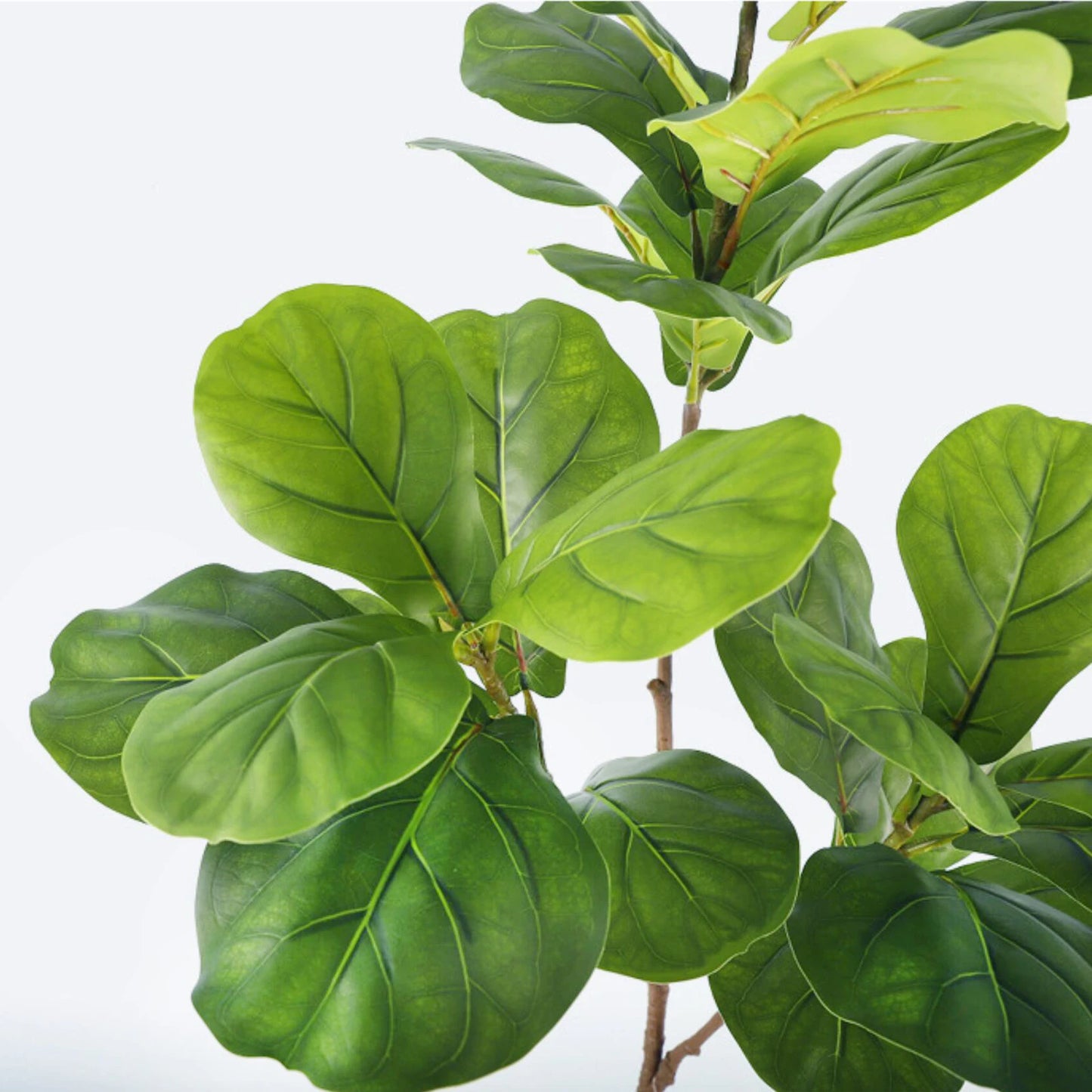 76-135cm  Artificial Fiddle Leaf Ficus Fig Plant for Outdoor Courtyard Garden Balcony Indoor Home and Office Decoration